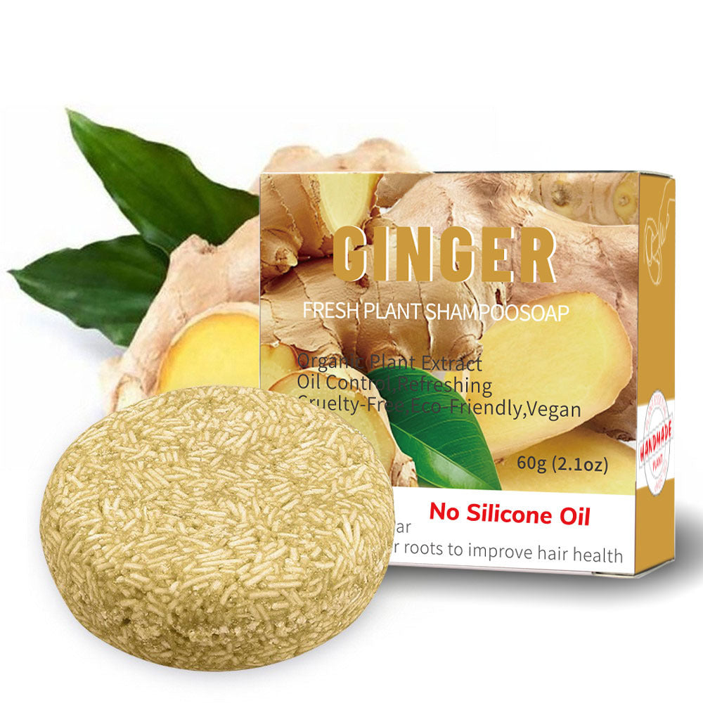 Organic Mint Solid Shampoo Bar -- Oil Control, Anti-Dandruff &Eco-Friendly Hair Care