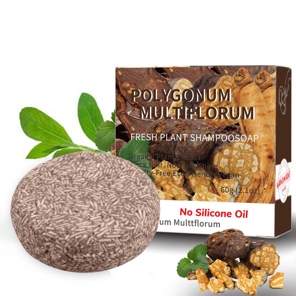 Organic Mint Solid Shampoo Bar -- Oil Control, Anti-Dandruff &Eco-Friendly Hair Care